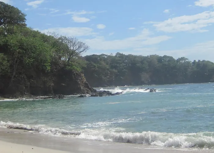 Plumita Pacifica Playa Junquillal